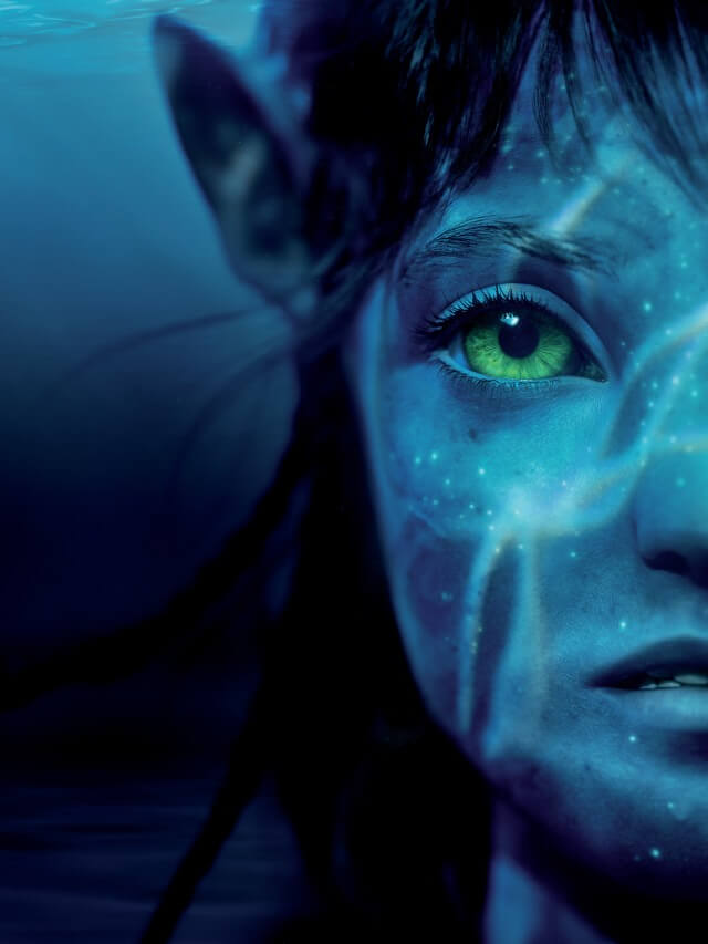 Check Out Avatar The Way of Water Box Office Figures!