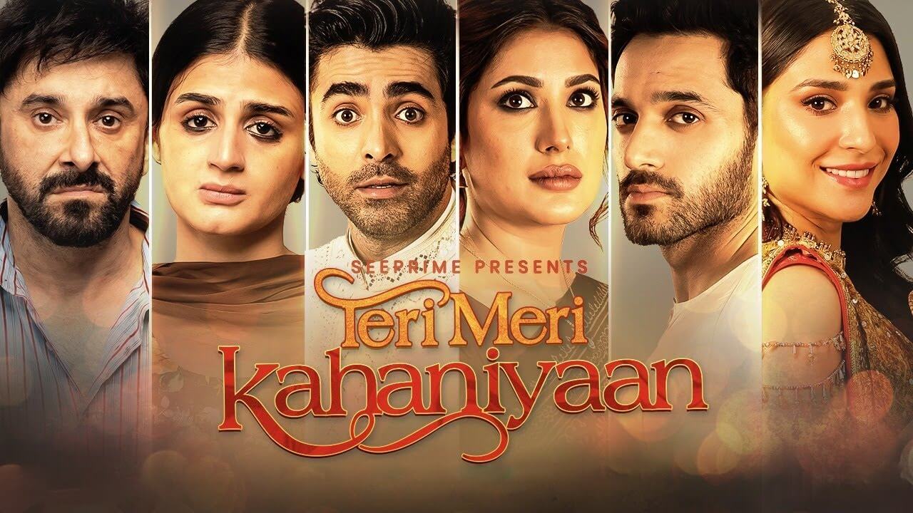 Teri Meri Kahaniyaan Box Office Collection: Pakistani Movie