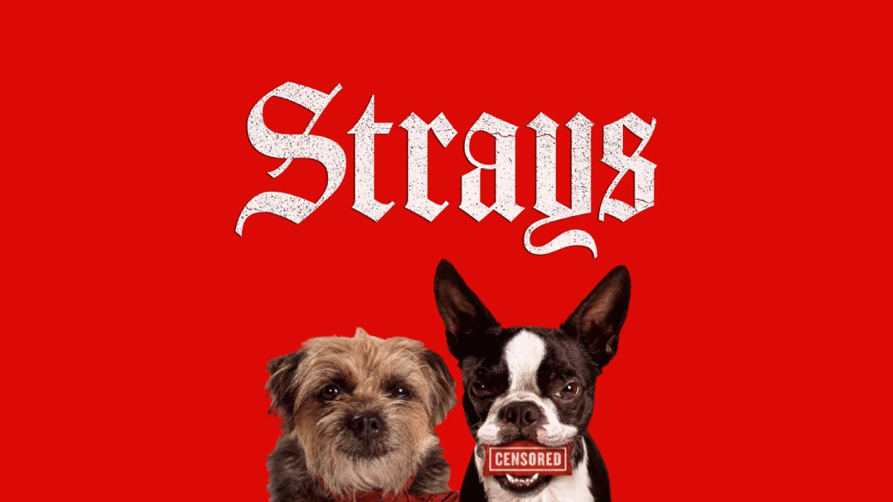Strays Movie Age Ratings & Parents Guide!